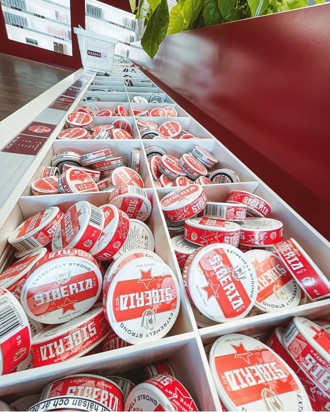 Siberia Rot Nikotingehalt erklärt: Snus-Sorte im Überblick