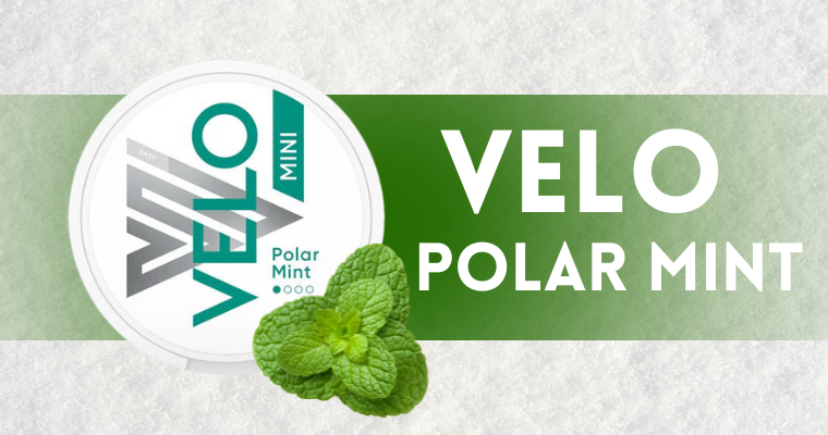 VELO Polar Mint