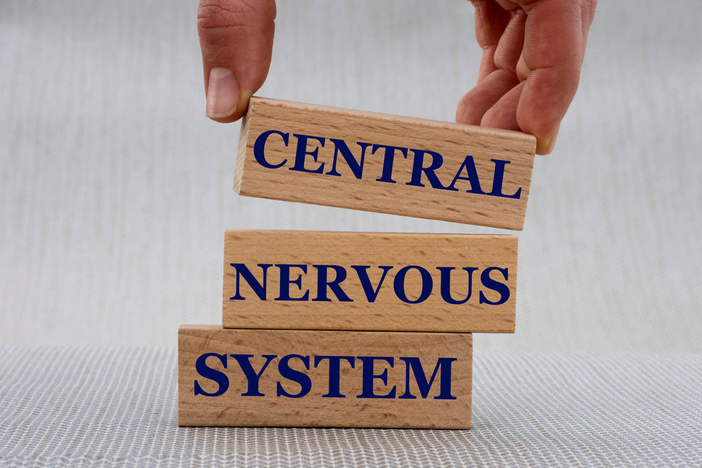 Welche Wirkung hat Nikotin auf das Nervensystem?