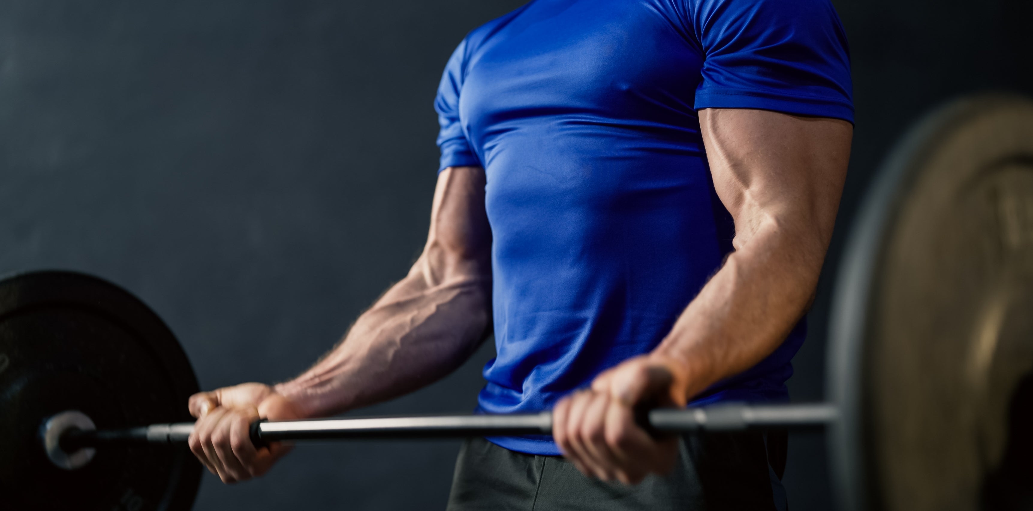 Quel est l'effet de la nicotine sur le dveloppement musculaire ?