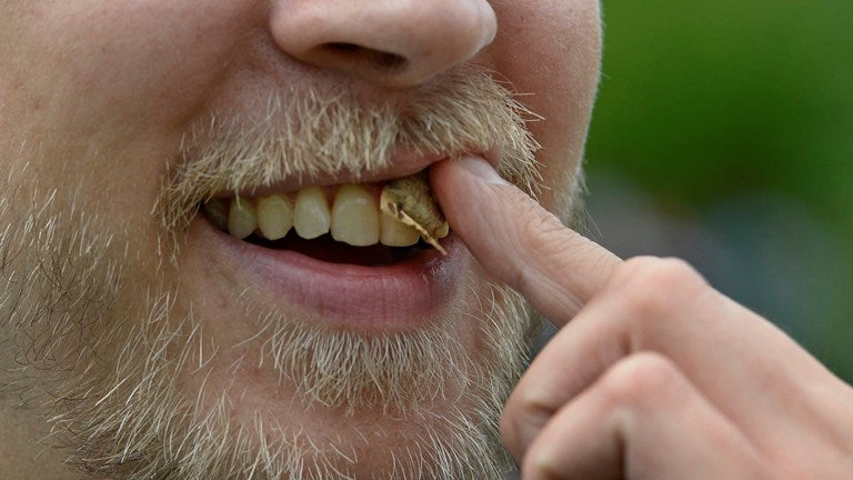 Neue Studie: Snus führt nicht zu Mundkrebs – im Gegenteil