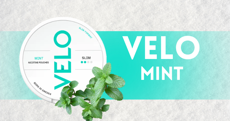 VELO Mint - Minzige Frische im Pocketformat