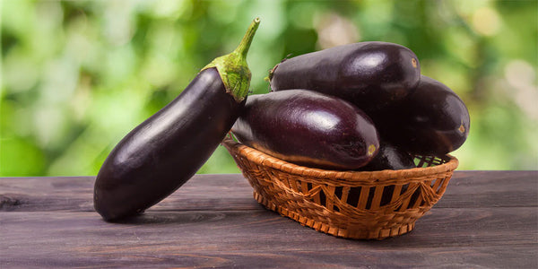 Nicotine in aubergines